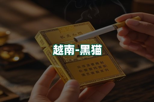 越南黑猫